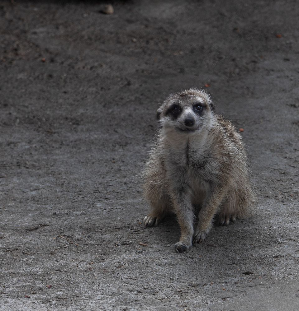 Photograph by Олеся Грекова