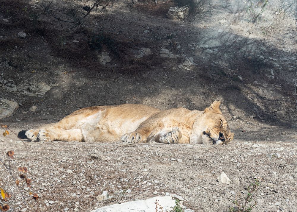 Photograph by Олеся Грекова