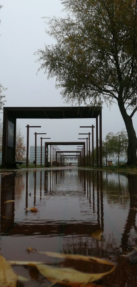 Photograph by Наталья