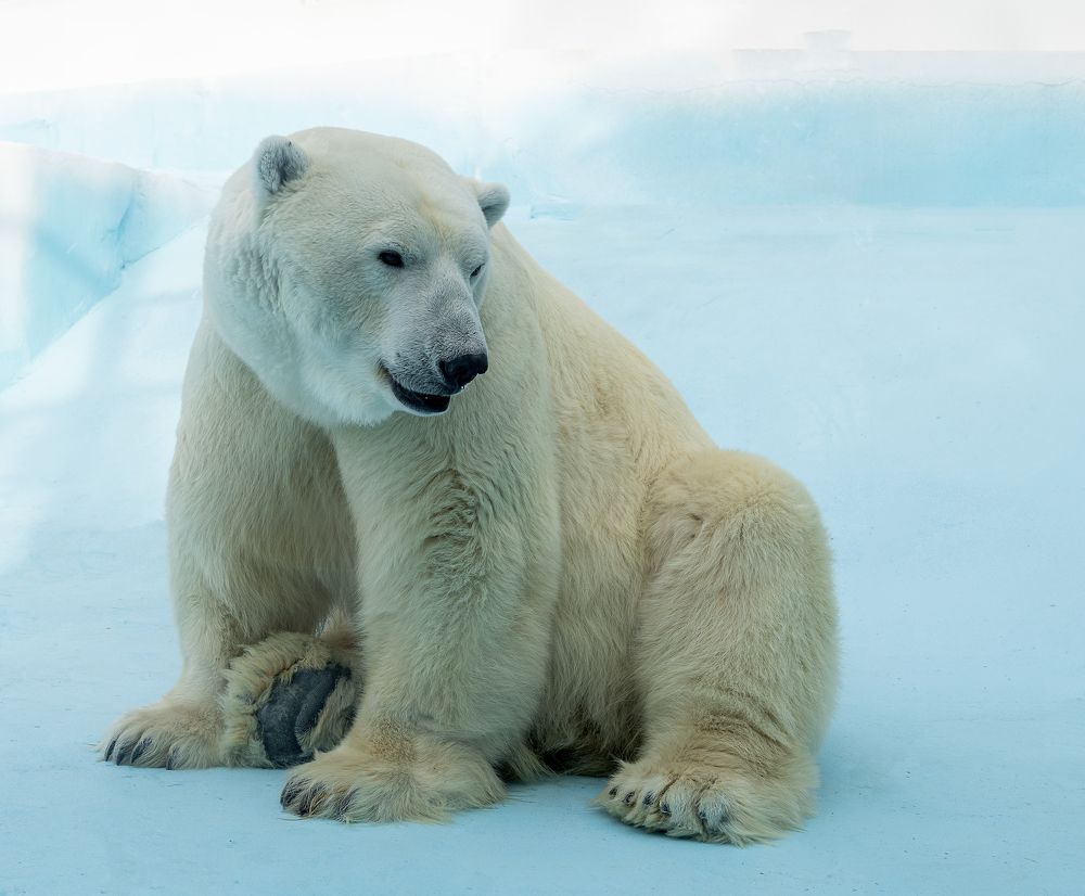 Photograph by Олеся Грекова