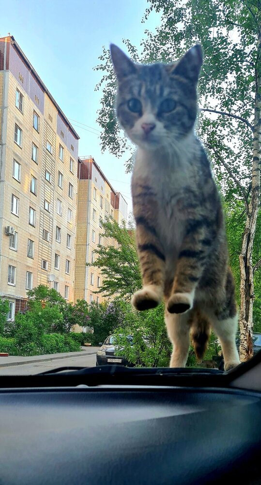 Photograph by Екатерина