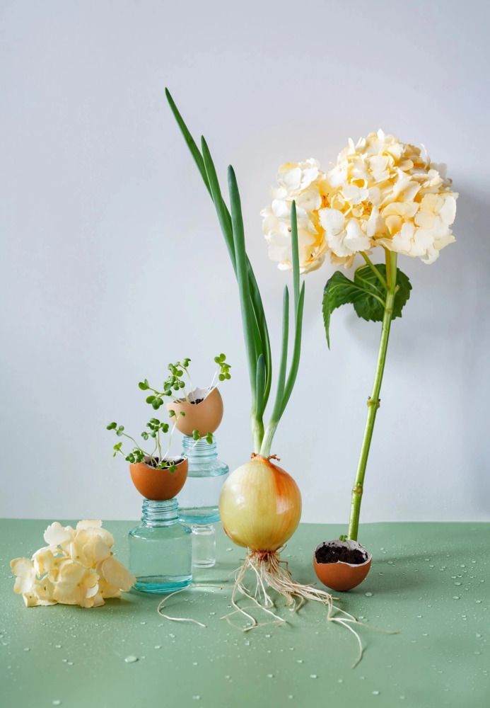 Photograph by Юлия Яремко