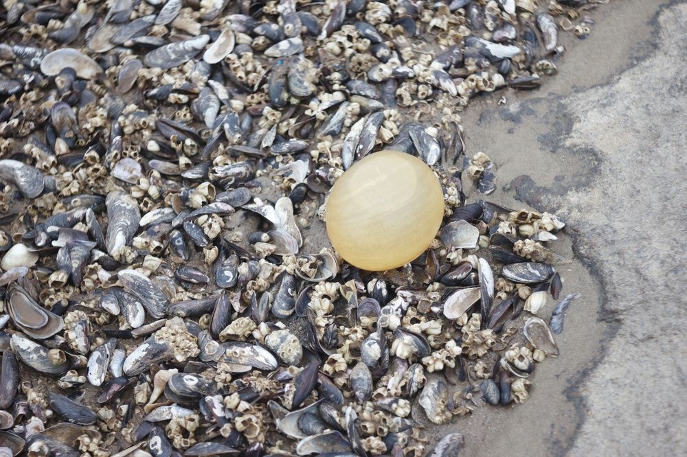 Photograph by Markov Dima