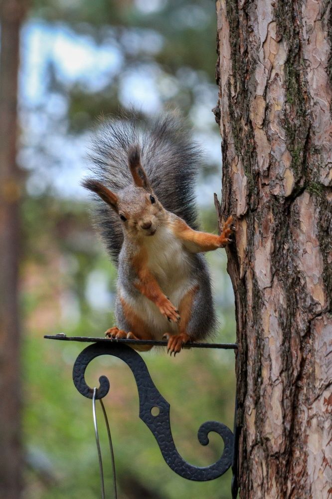 Photograph by Lyudmila Klimanova