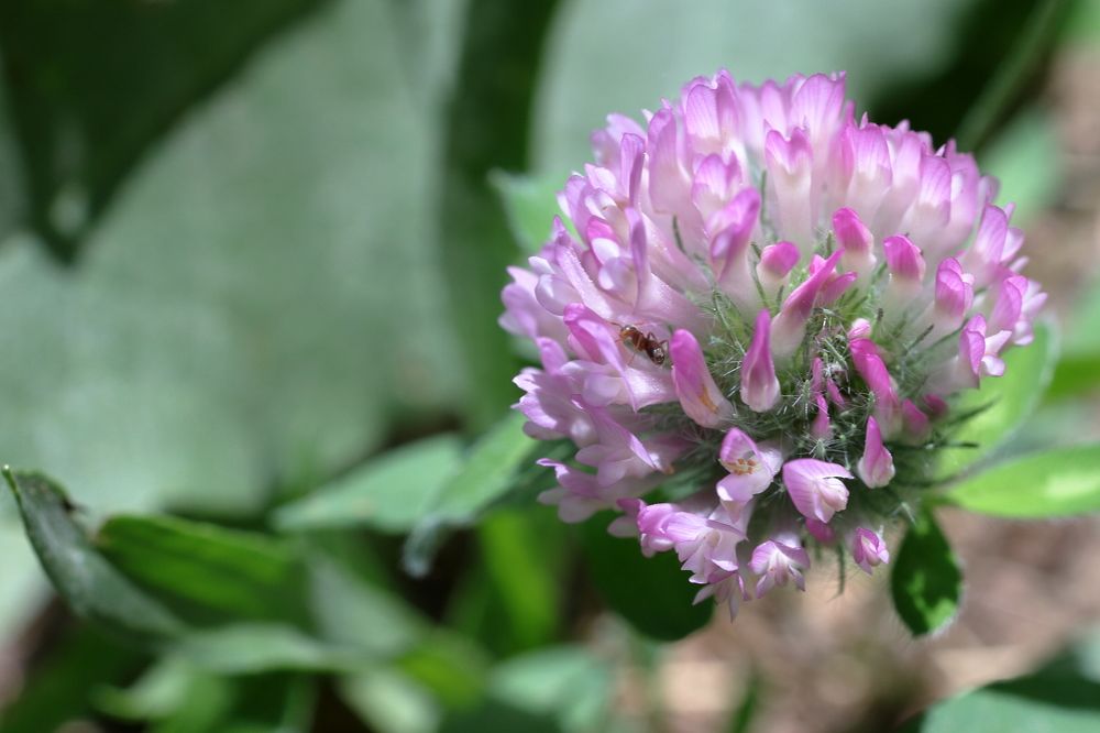 Photograph by Uktam Djalalov