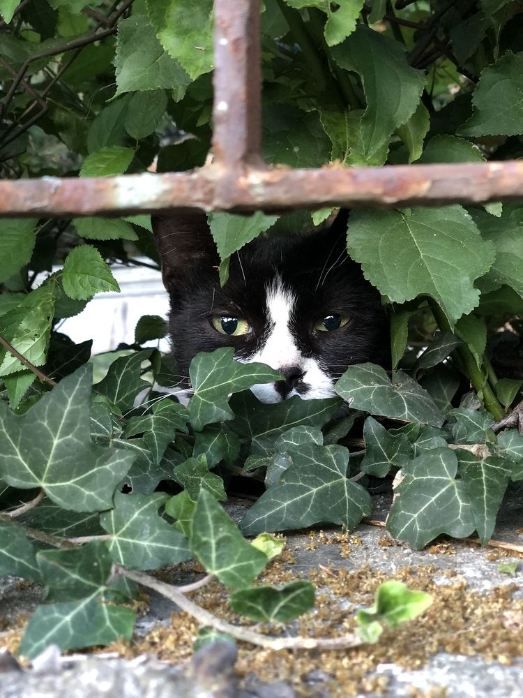 Photograph by Mariq Georgieva