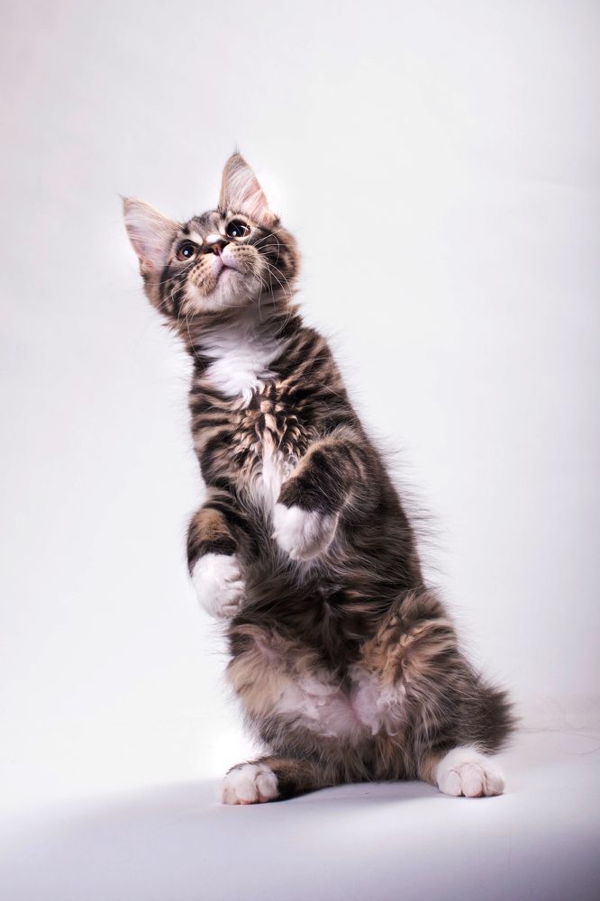 Photograph by Ирина Мамонова