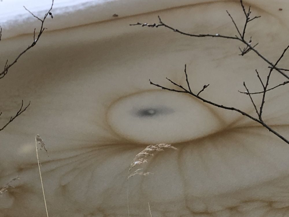 Photograph by ЮЛИЯ СУЛИМОВА