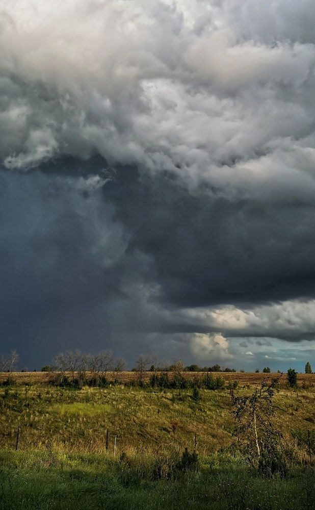 Photograph by Любовь Колмакова