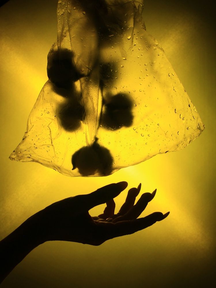 Photograph by Янтарная Елена