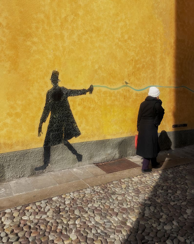 Фотография автора Erfan Rabiei dastjerdi