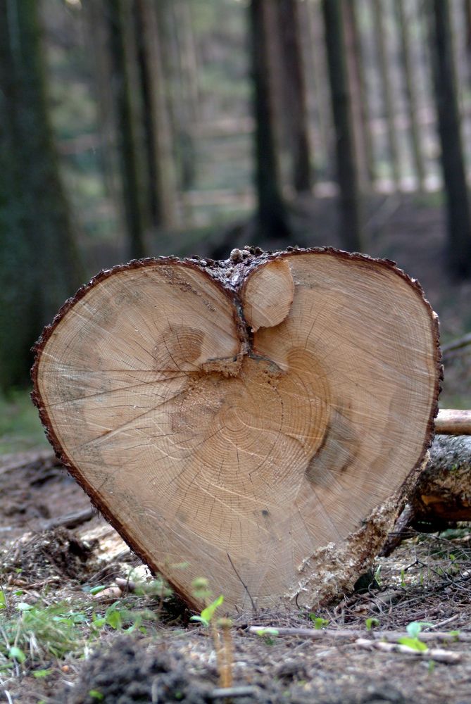 Фотография автора Chorche Prigo