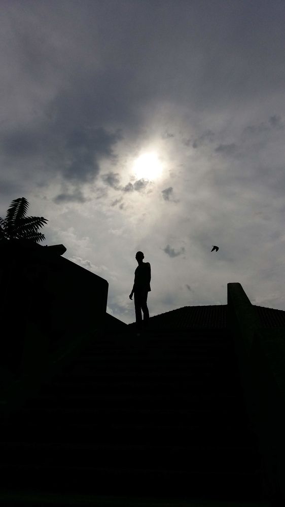 На фоне неба