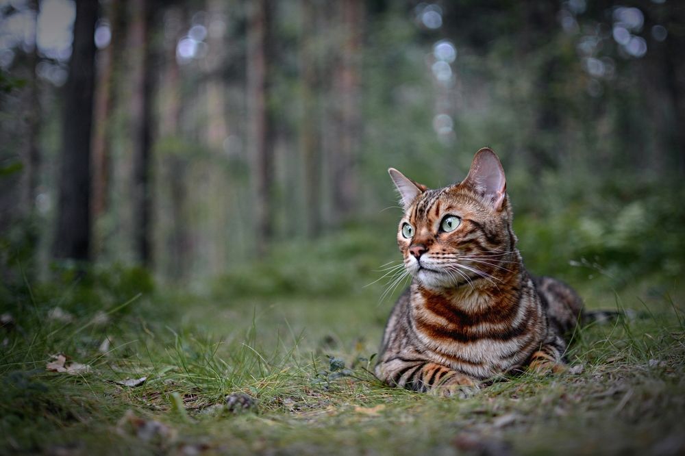 Photograph by Александр Павлов