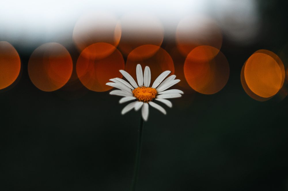 Photograph by Игорь Еремеев