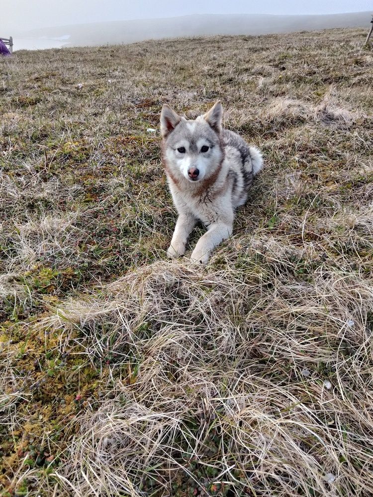 Photo #9790416