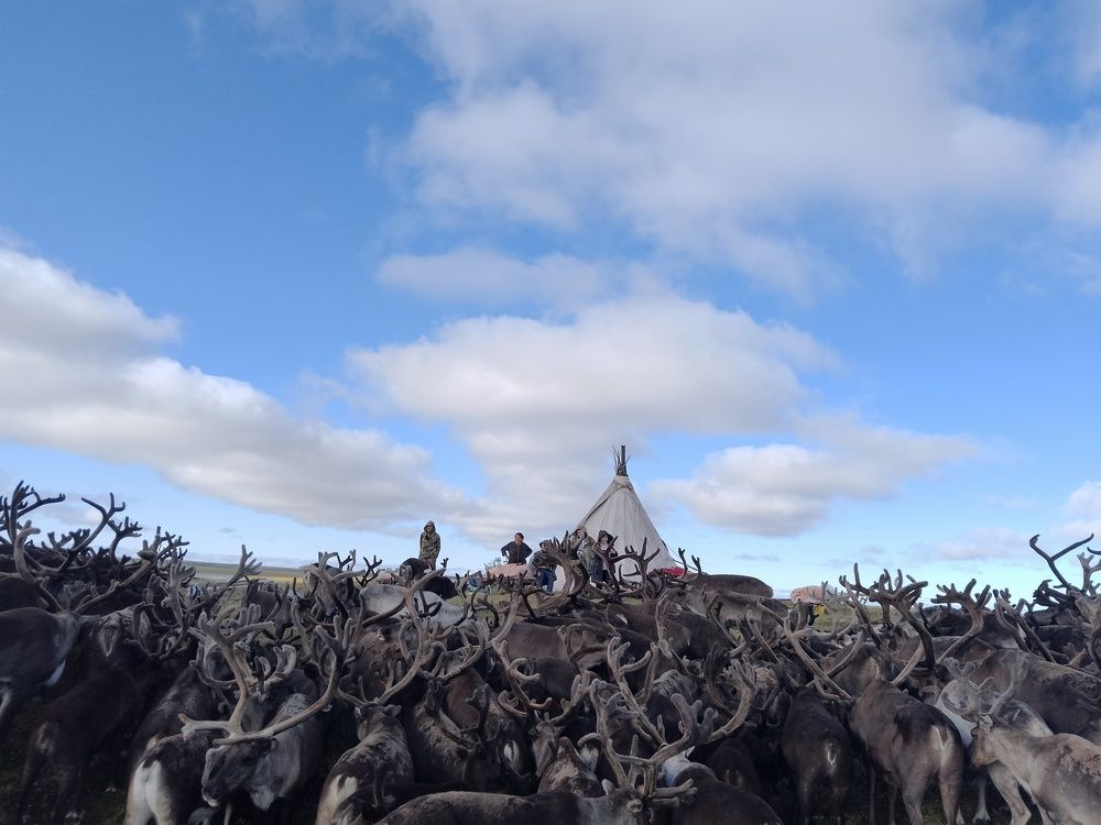 Photo #9790419