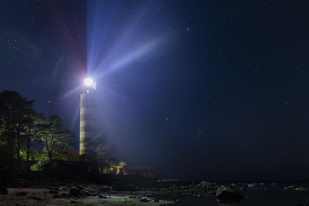 Фотография автора Ксения Зайцева