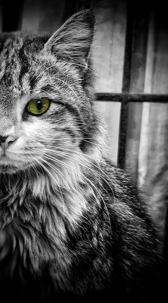 Фотография автора reyhane  khavaninzadeh