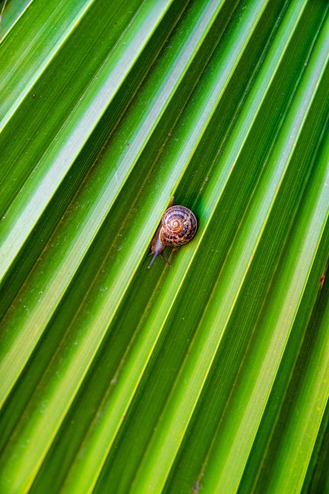 Photograph by Игорь Еремеев