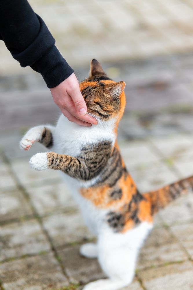 Photograph by Игорь Еремеев