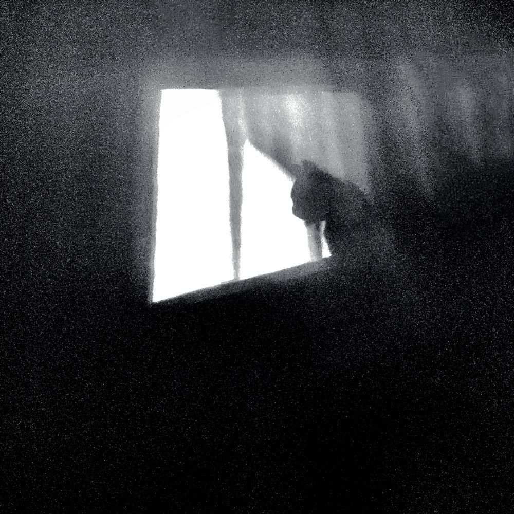 Фотография автора Minja Jovetic