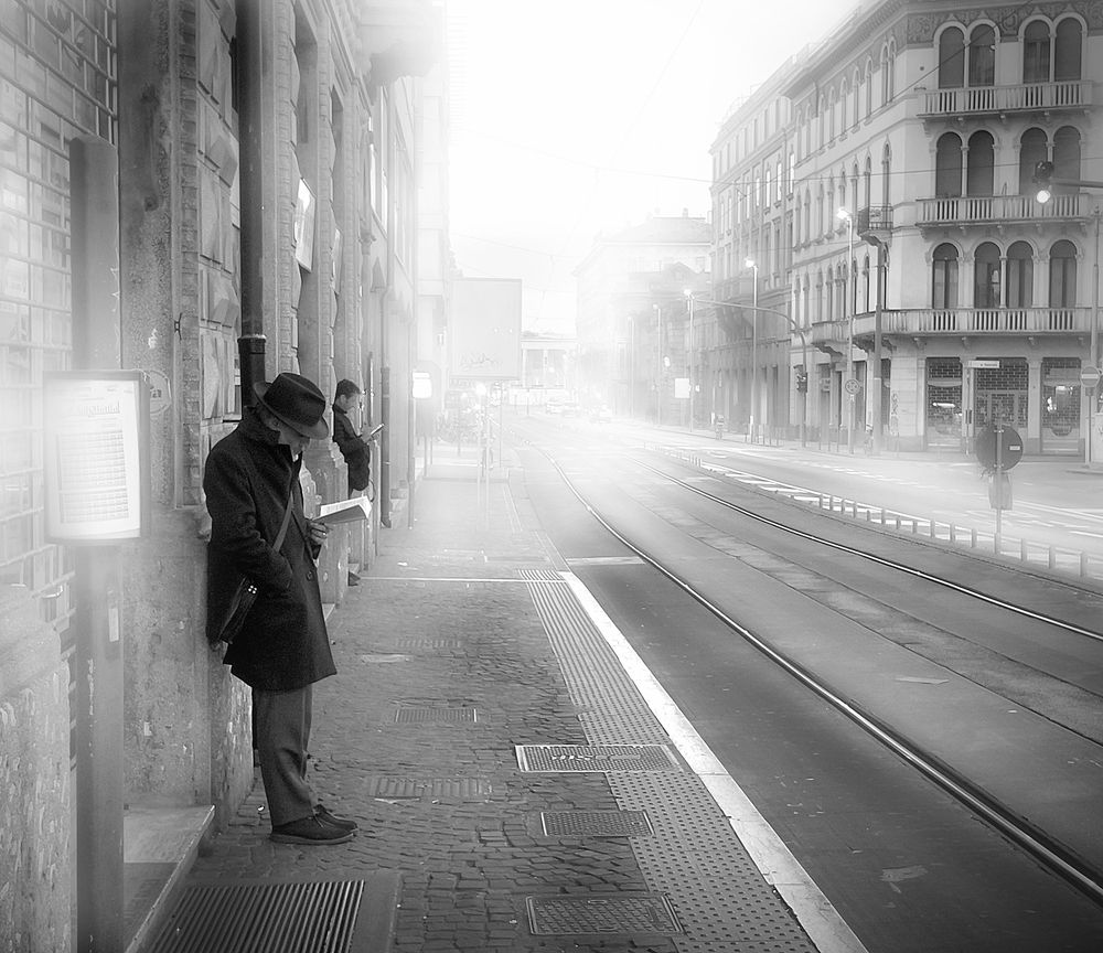 Фотография автора Erfan Rabiei dastjerdi