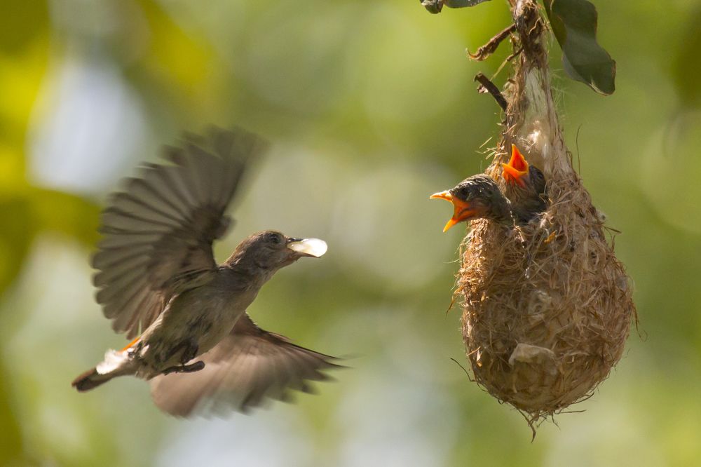 Photograph by HOANG MINH
