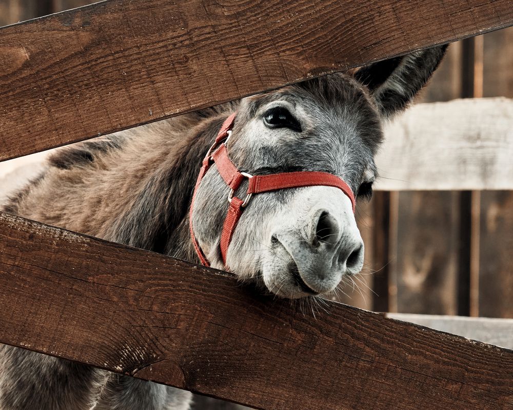 Photograph by Жанна Захарченко