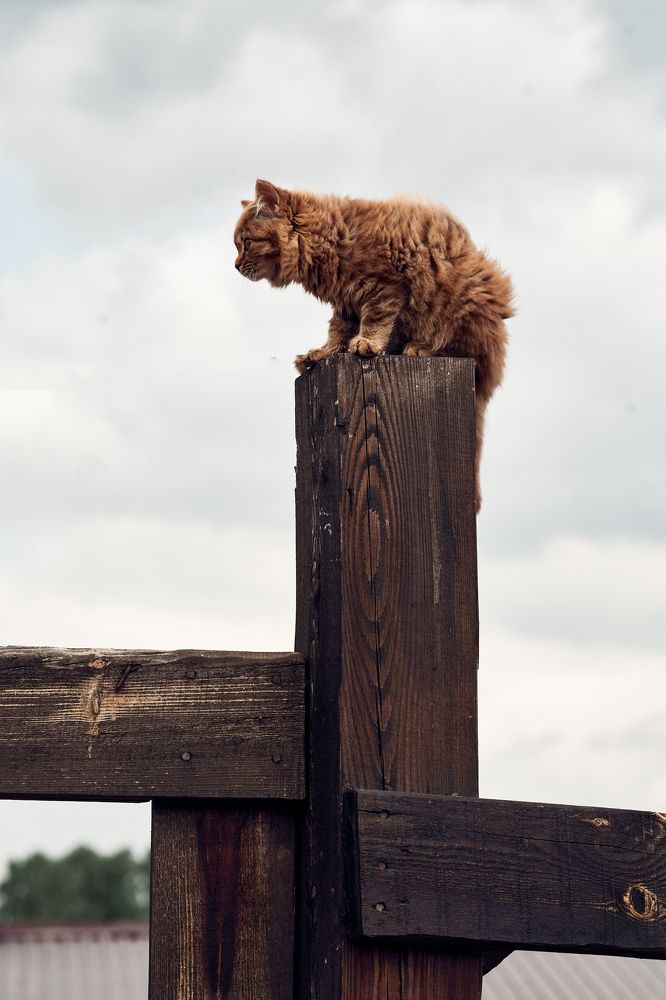 Photograph by Жанна Захарченко