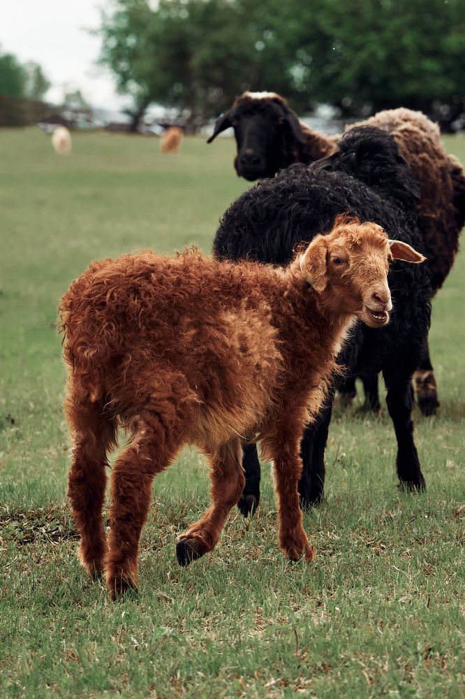 Photograph by Жанна Захарченко