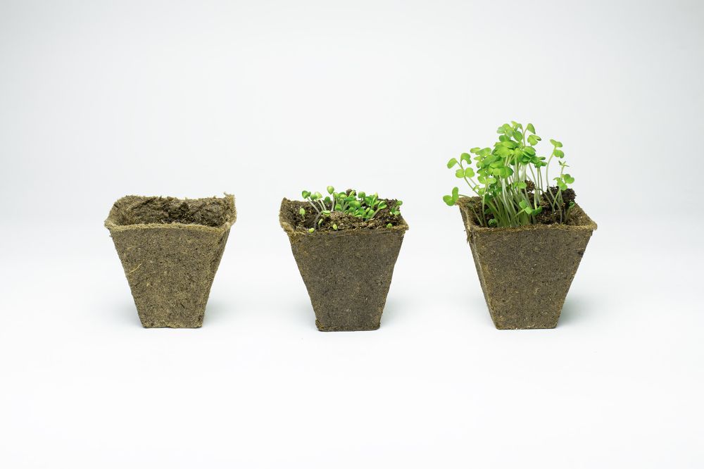 Photograph by Максим Кукурунд