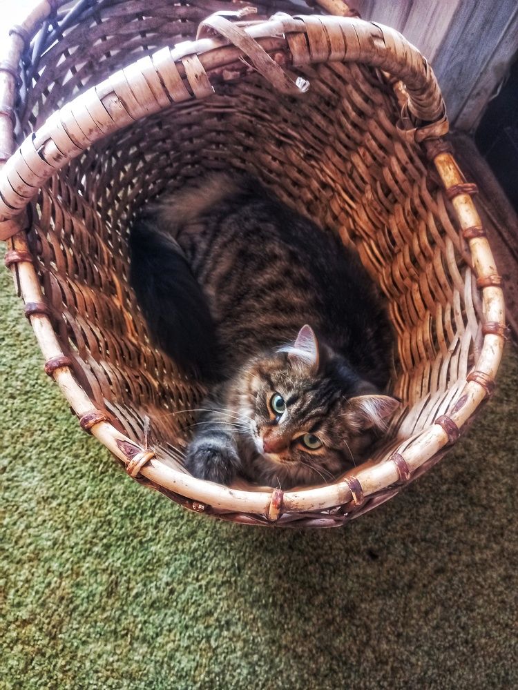 Photograph by Марина Тувышева-Чукавина