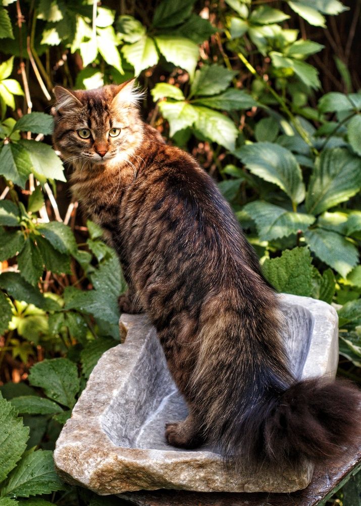 Photograph by Марина Тувышева-Чукавина