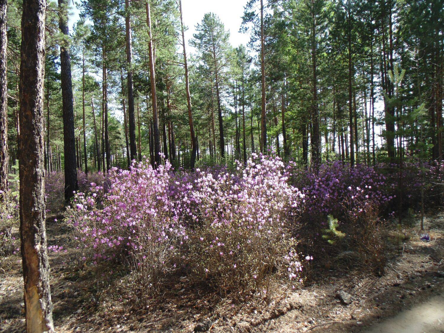 Photo #9790713