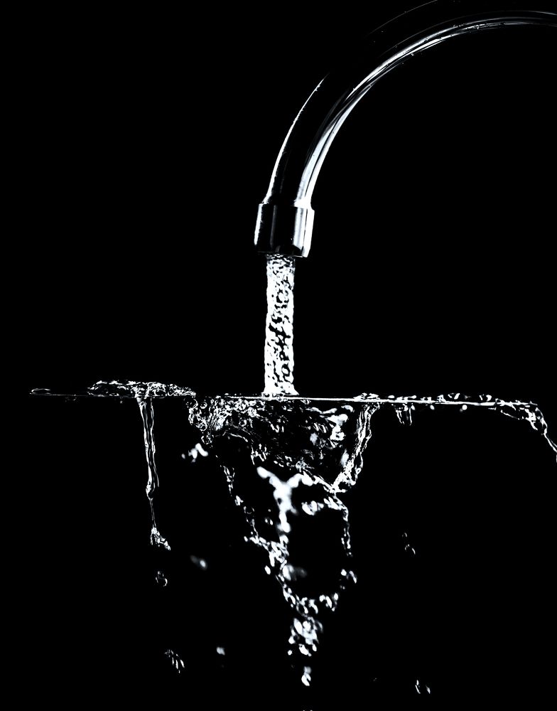 Photograph by Akeem Chandler-Prescod