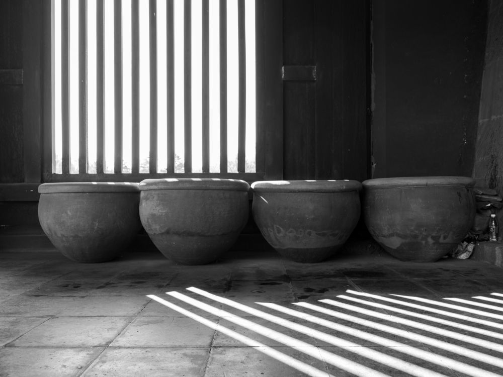 Photograph by Zacchaeus Zhao