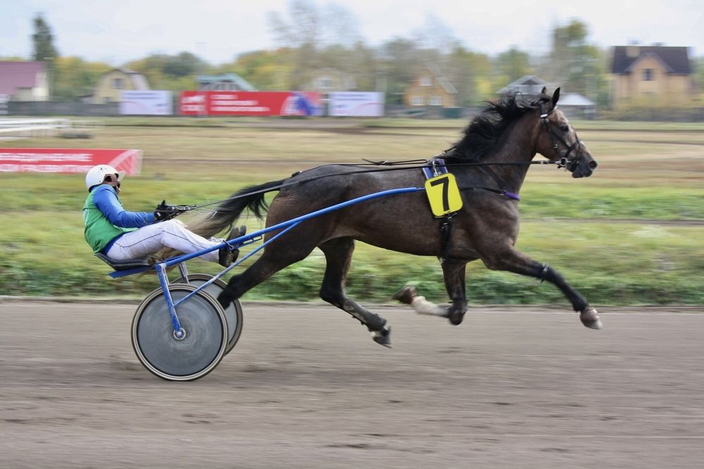 Photograph by Михаил Некрасов