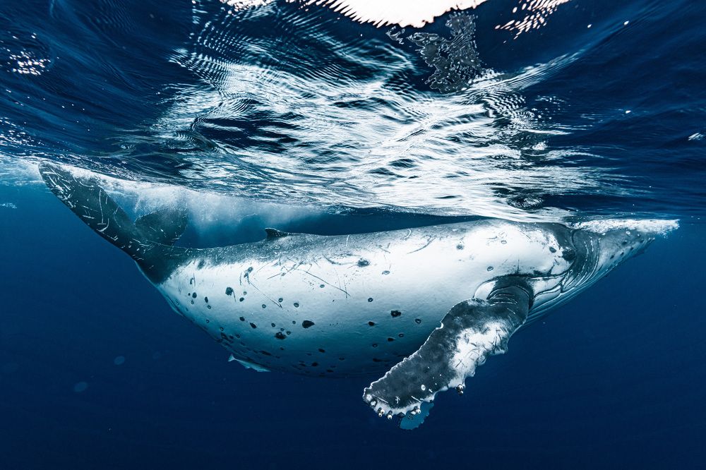 Photograph by KURASHIMA DAISUKE