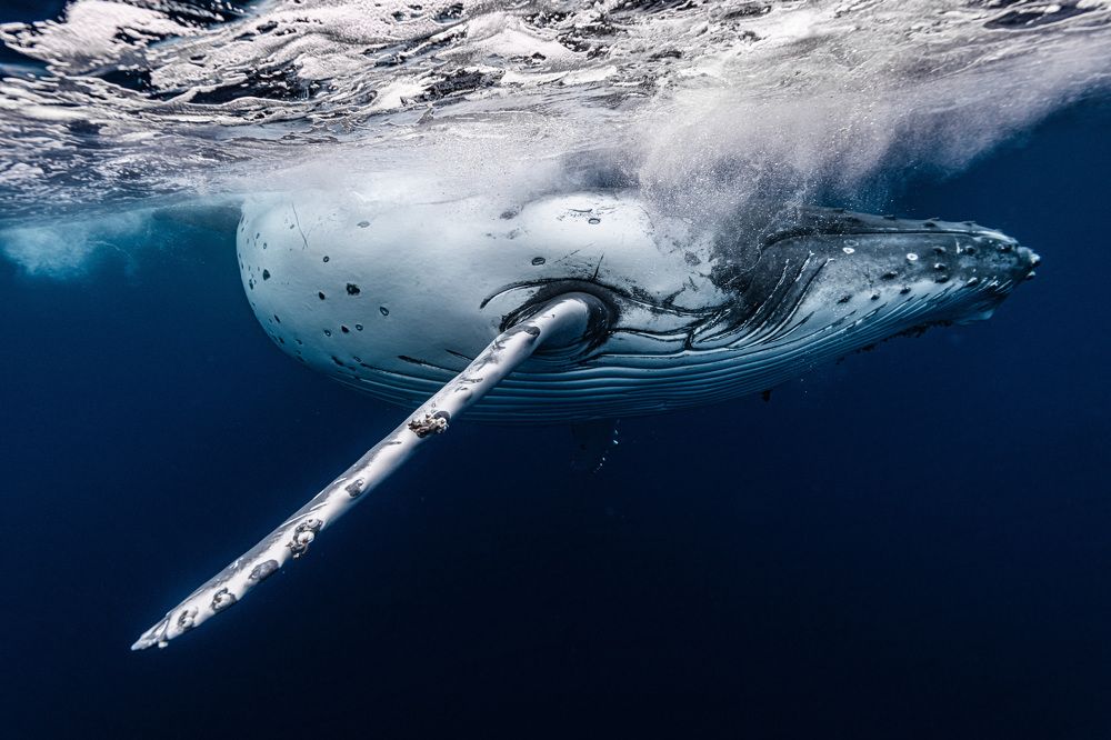 Photograph by KURASHIMA DAISUKE