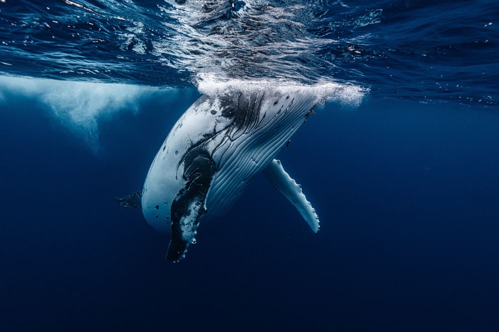 Photograph by KURASHIMA DAISUKE