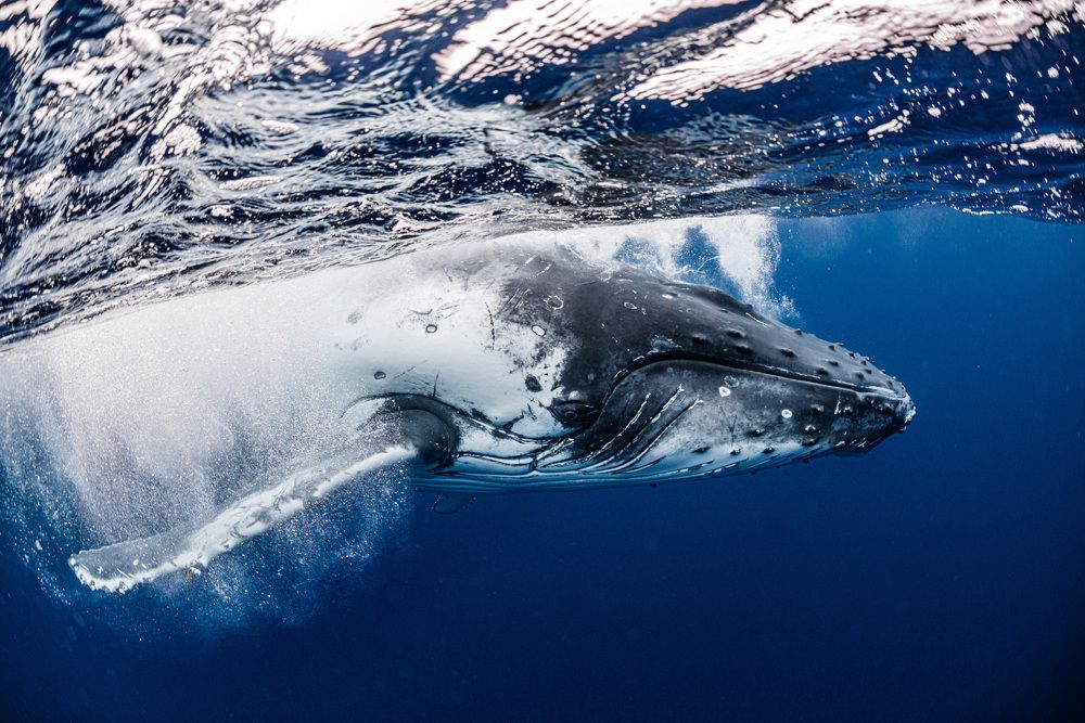 Photograph by KURASHIMA DAISUKE