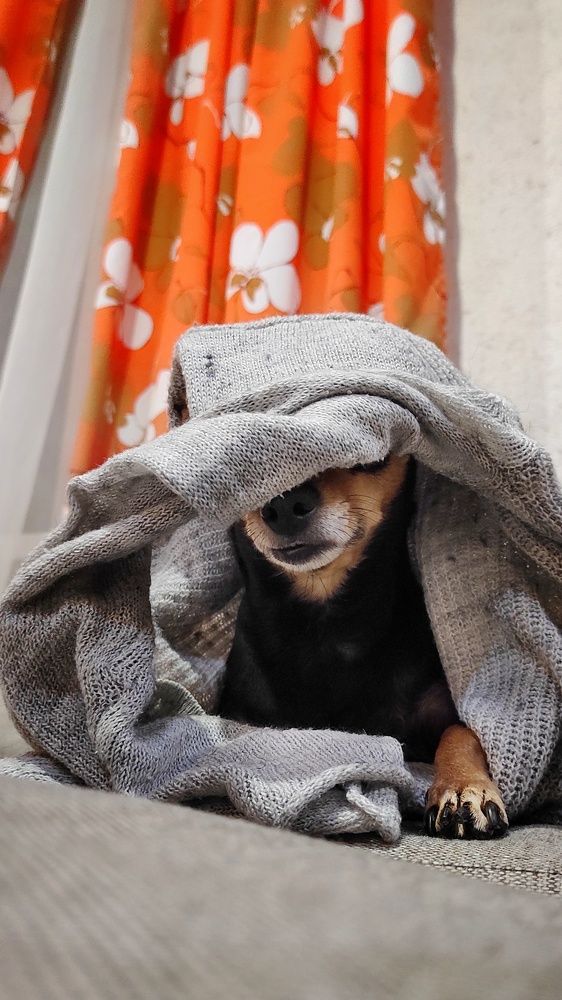 Photograph by Наталья Рау