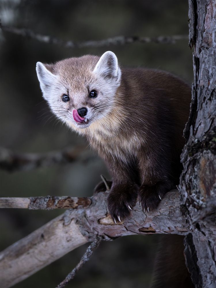 Photograph by Zhenhuan Zhou