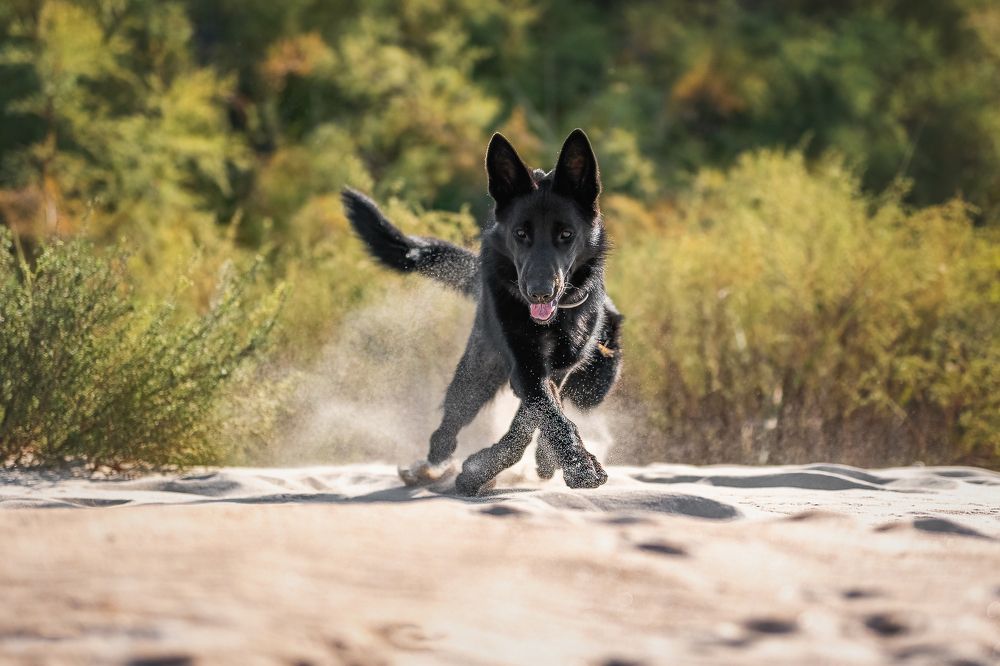 Photograph by Наталья Орел