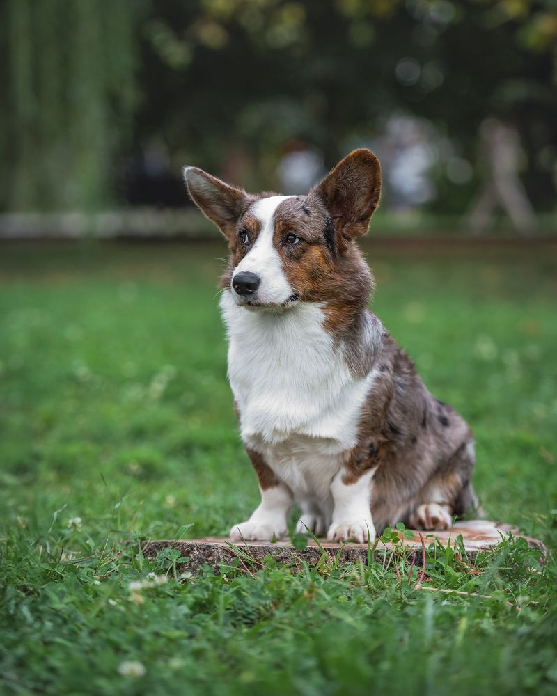 Photograph by Наталья Орел