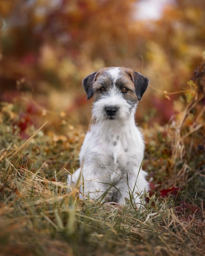 Photograph by Наталья Орел