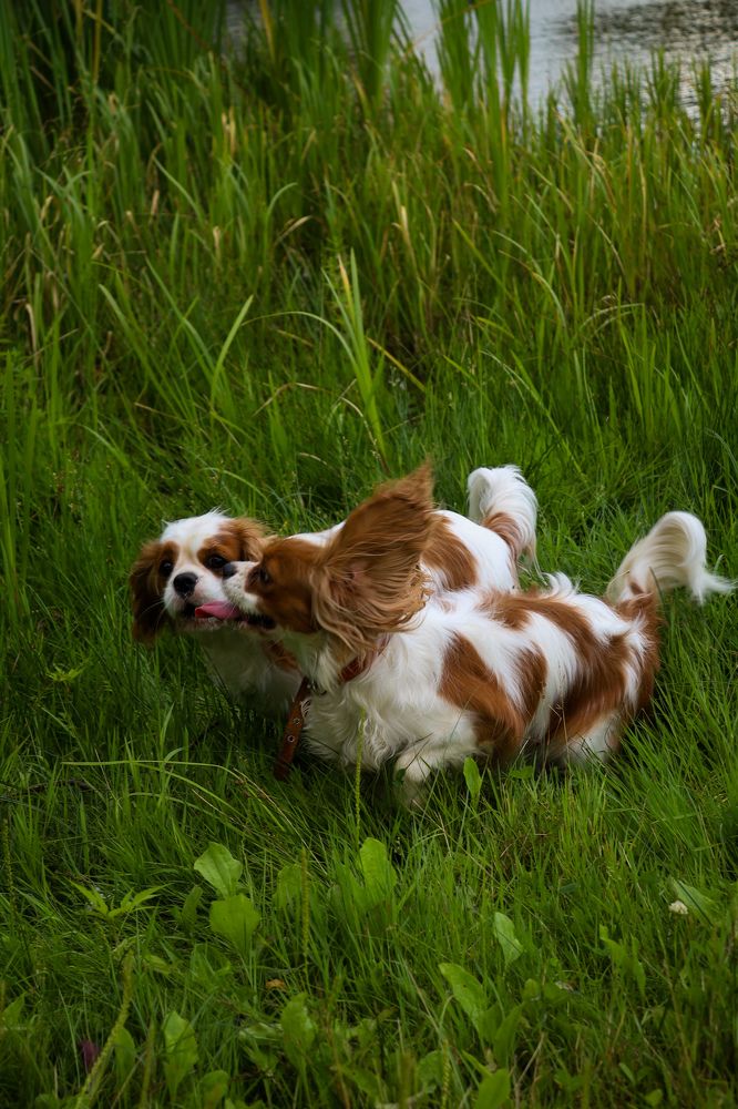 Photograph by Оксана Хабарова