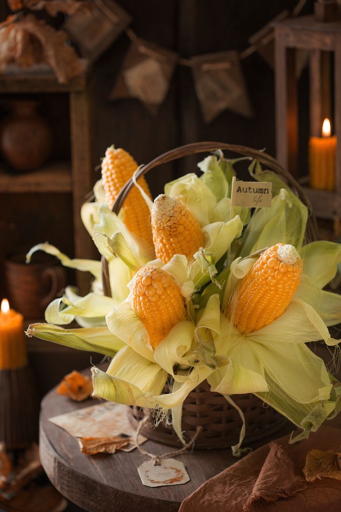 Photograph by Романова Марина