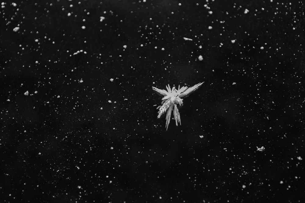 Photograph by Sergey Uskov